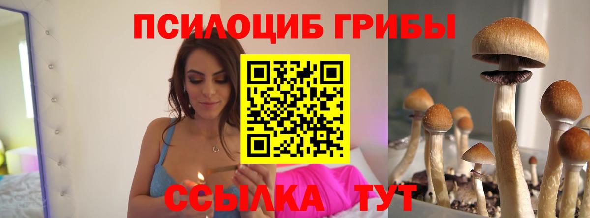 Псилоцибиновые грибы мицелий  Галлюциногенные грибы ЛСД  Вход с VPN  Кемерово 